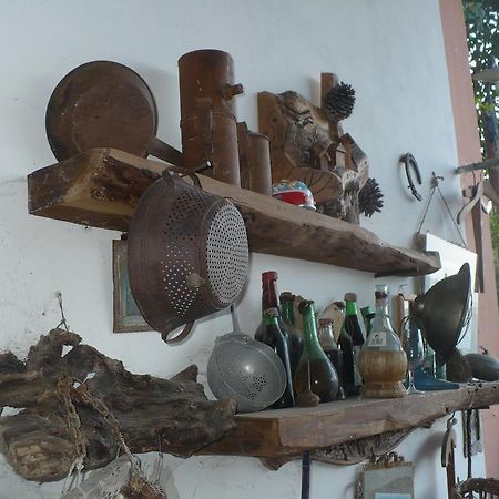 Agriturismo Podere Poggio Ai Cieli سان جيمينيانو المظهر الخارجي الصورة